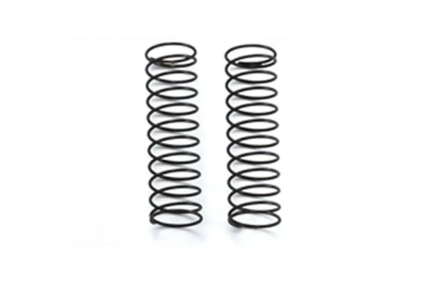 Big Bore Spring(L=63/2.1/2pcs) W5310-21