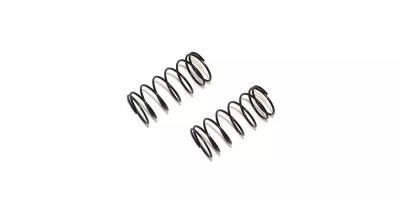 Spring (1.2x5.5x44/3.4/2pcs) W5312-34