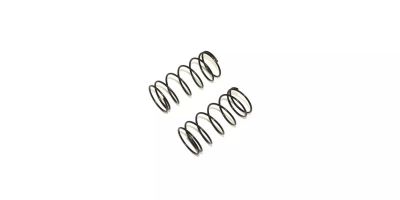 Spring (1.2x5x44/3.8/2pcs) W5312-38