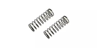Spring (1.2x9.25x61/2.0/2pcs) W5313-20