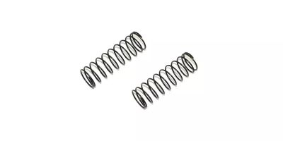 Spring (1.2x9x61/2.1/2pcs) W5313-21