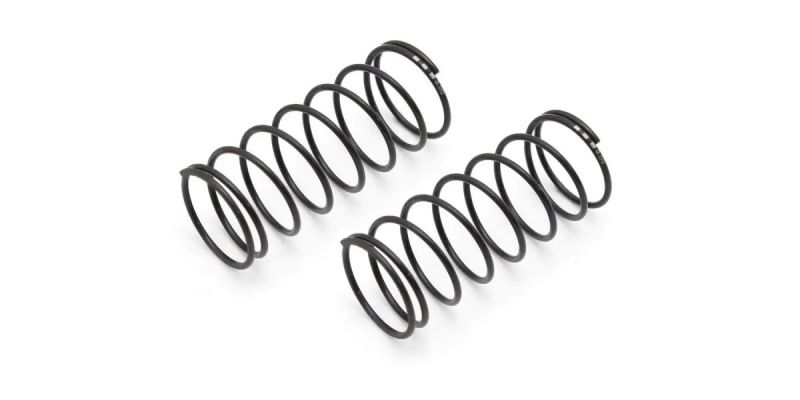 Big Bore Spring(L=44/3.55/2pcs) W5309-36